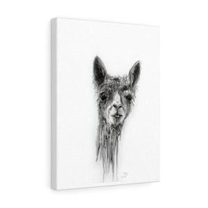 BILLY Llama - Art Canvas