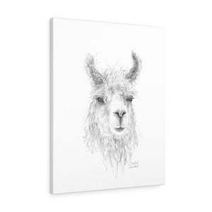 GIULIA Llama - Art Canvas