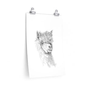 CASSIDY Llama- Art Paper Print