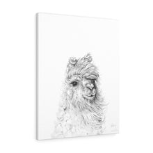 HILARY Llama - Art Canvas