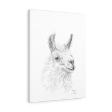 CRAIG llama- Art Canvas