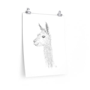 KYLEIGH Llama- Art Paper Print