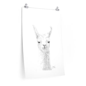 MEGAN Llama- Art Paper Print