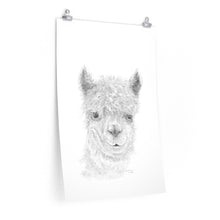 BARTHOLOMEW Llama- Art Paper Print