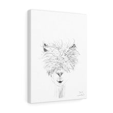 BRUCE Llama - Art Canvas