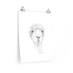 MARLEY Llama- Art Paper Print