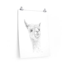 REX Llama- Art Paper Print