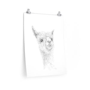 REX Llama- Art Paper Print