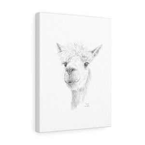 Jenna Llama - Art Canvas