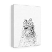 HILARY Llama - Art Canvas