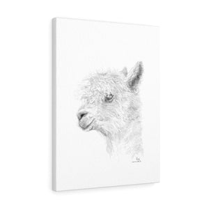 LISA Llama - Art Canvas