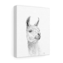 JEFF Llama - Art Canvas