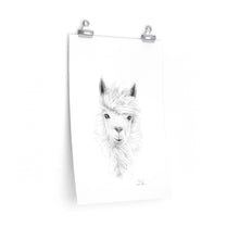 DIANE Llama- Art Paper Print