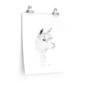 SOPHIE Llama- Art Paper Print