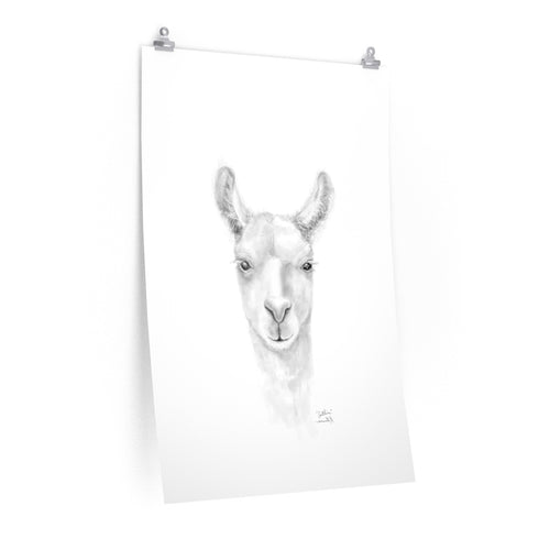 CAITLIN Llama- Art Paper Print