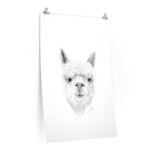 SOPHIA Llama- Art Paper Print