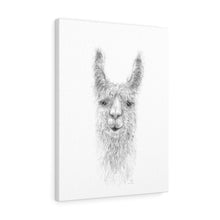 Nikki Llama - Art Canvas