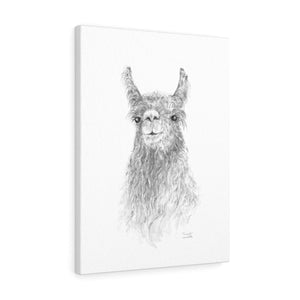 CONSWALA Llama- Art Canvas
