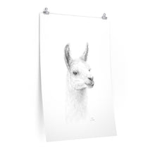 EVA Llama- Art Paper Print