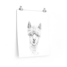 JENNY Llama- Art Paper Print