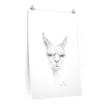 JOEY Llama- Art Paper Print