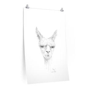 JOEY Llama- Art Paper Print