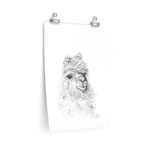 HILARY Llama- Art Paper Print