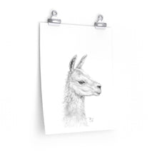 TIFFIANY Llama- Art Paper Print