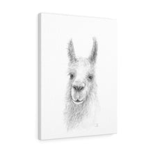 TREX Llama - Art Canvas