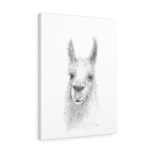 TREX Llama - Art Canvas