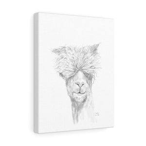 JUSTIN Llama - Art Canvas