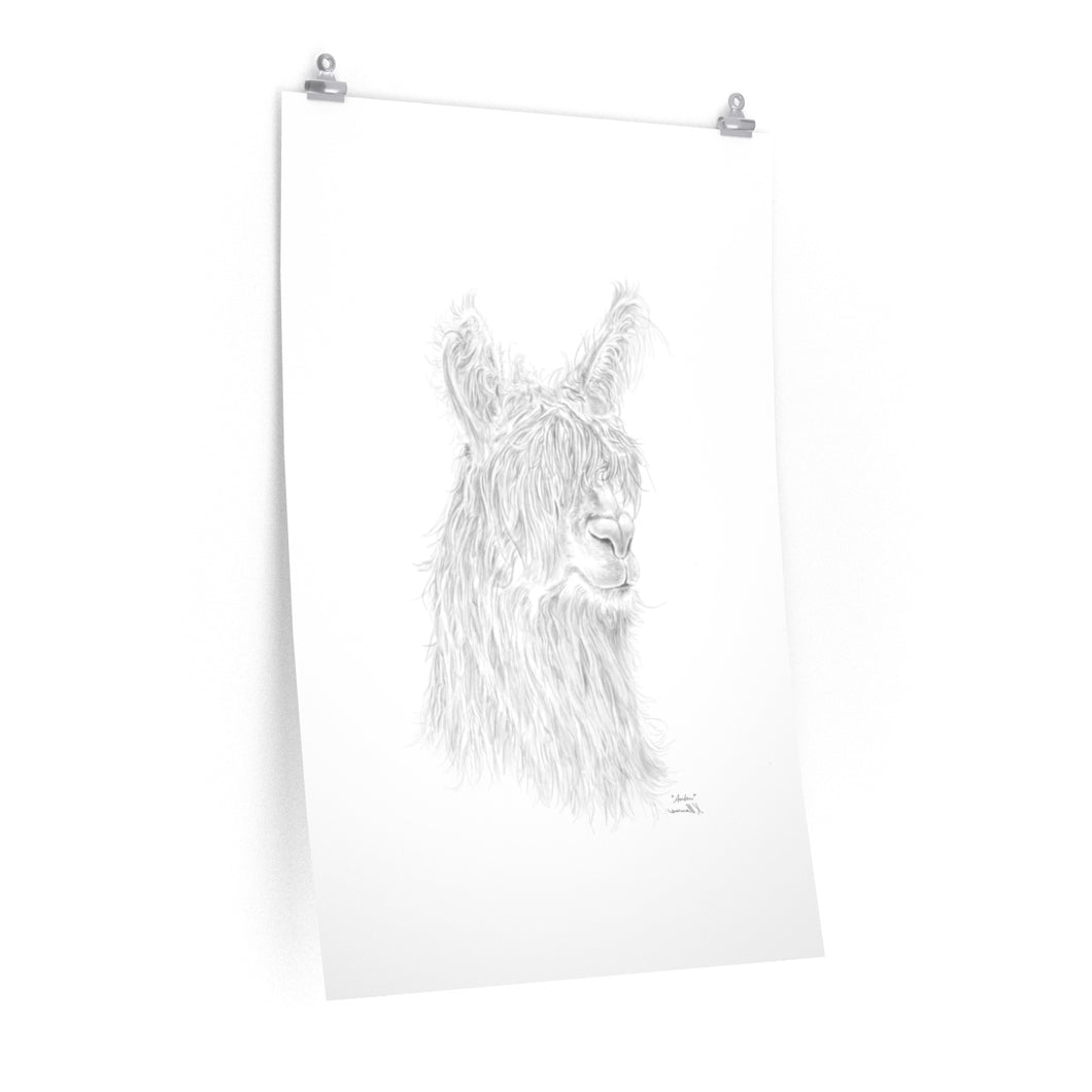 AMBER Llama- Art Paper Print
