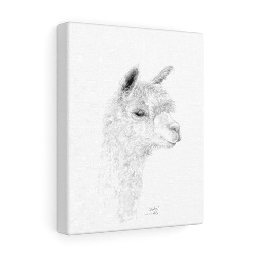 SOPHIE llama- Art Canvas