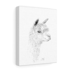 SOPHIE llama- Art Canvas