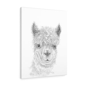 BARTHOLOMEW Llama - Art Canvas