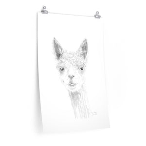 BRANDON Llama- Art Paper Print