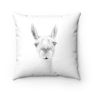 Llama Pillow - ADDISON