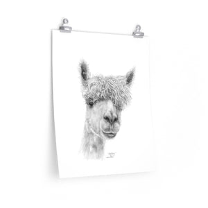 ASHLEY Llama - Art Paper Print