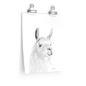 JAMES Llama- Art Paper Print