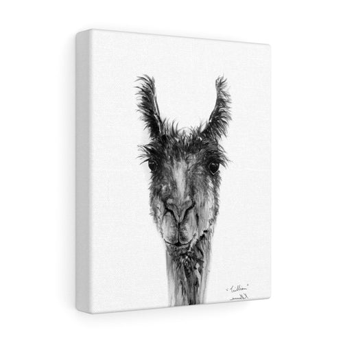 TRILLIAN Llama - Art Canvas