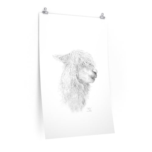 BAILIE Llama- Art Paper Print