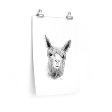 MIRANDA Llama- Art Paper Print