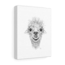 ELLEN Llama - Art Canvas