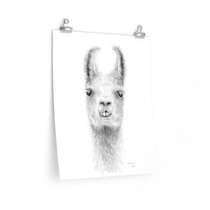 JOHANNES Llama- Art Paper Print