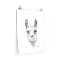 CAROLINE Llama- Art Paper Print