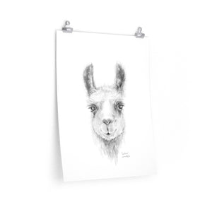 CAROLINE Llama- Art Paper Print