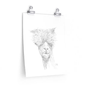 JUSTIN Llama- Art Paper Print
