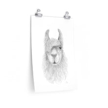 CHRIS Llama- Art Paper Print