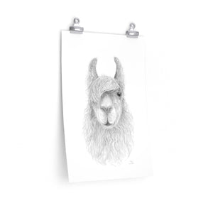 CHRIS Llama- Art Paper Print