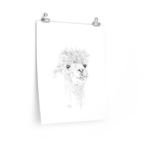 CANDICE Llama- Art Paper Print